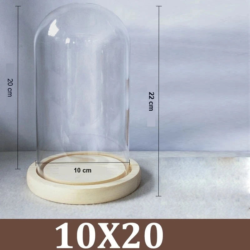 Cloche Alimentaire Dôme Verre Socle Bois