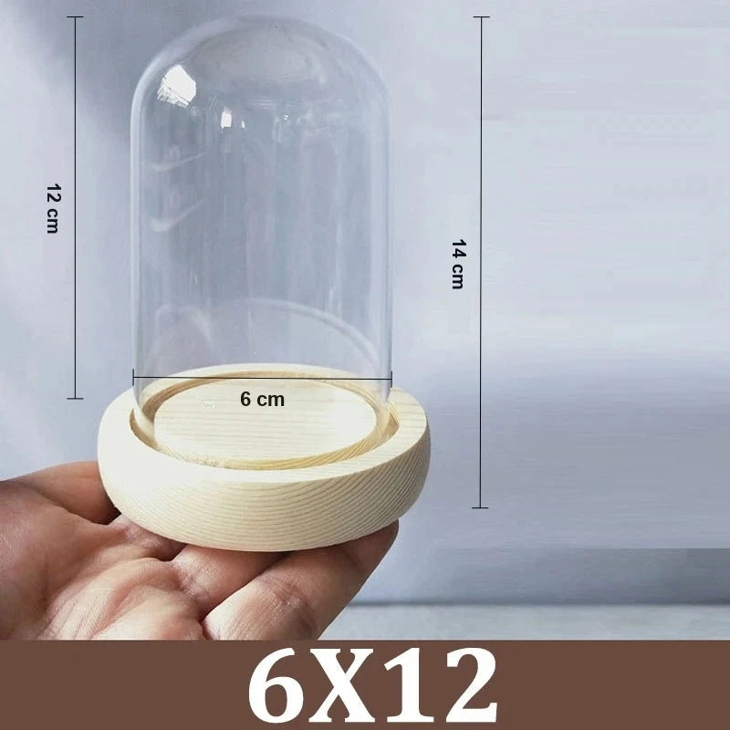 Cloche Alimentaire Dôme Verre Socle Bois