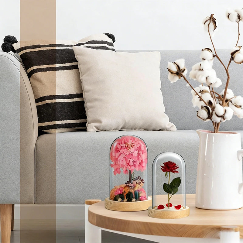 Cloche Alimentaire Dôme Verre Socle Bois