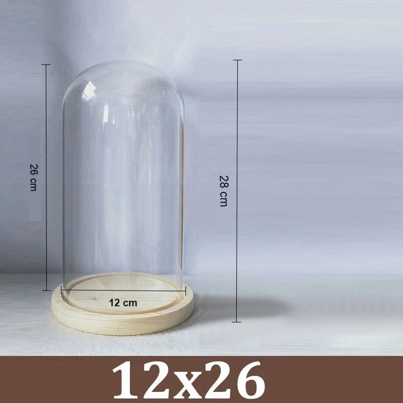 Cloche Alimentaire Dôme Verre Socle Bois