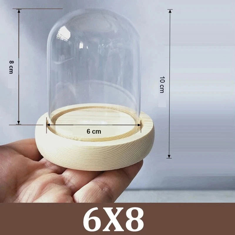 Cloche Alimentaire Dôme Verre Socle Bois