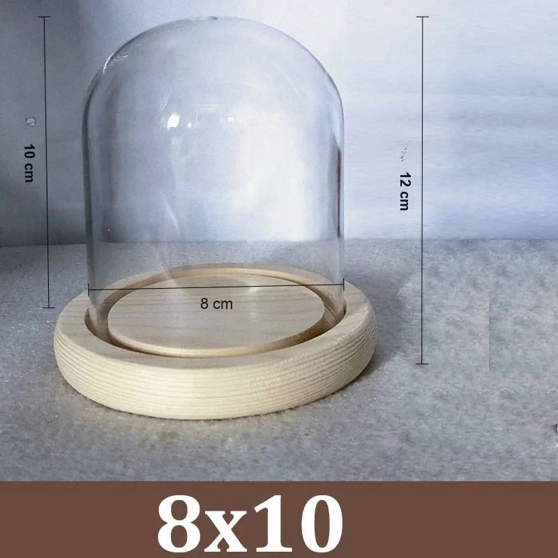 Cloche Alimentaire Dôme Verre Socle Bois