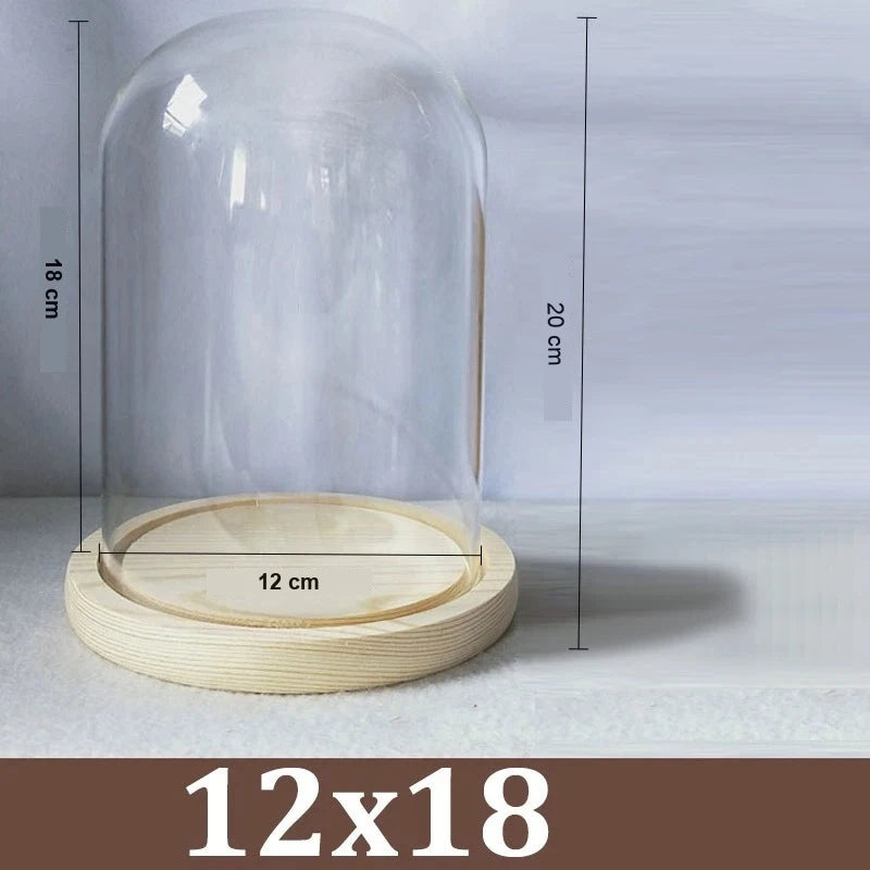 Cloche Alimentaire Dôme Verre Socle Bois