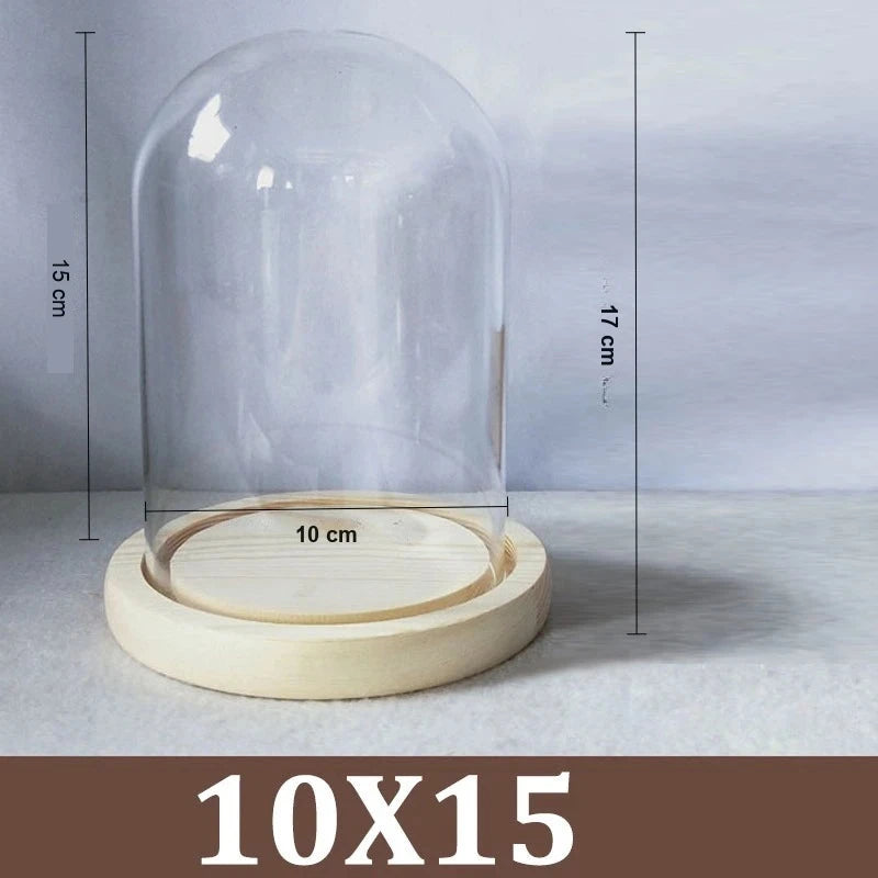 Cloche Alimentaire Dôme Verre Socle Bois