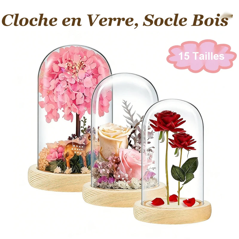 Cloche en verre sur socle bois avec fleurs roses, 15 tailles disponibles