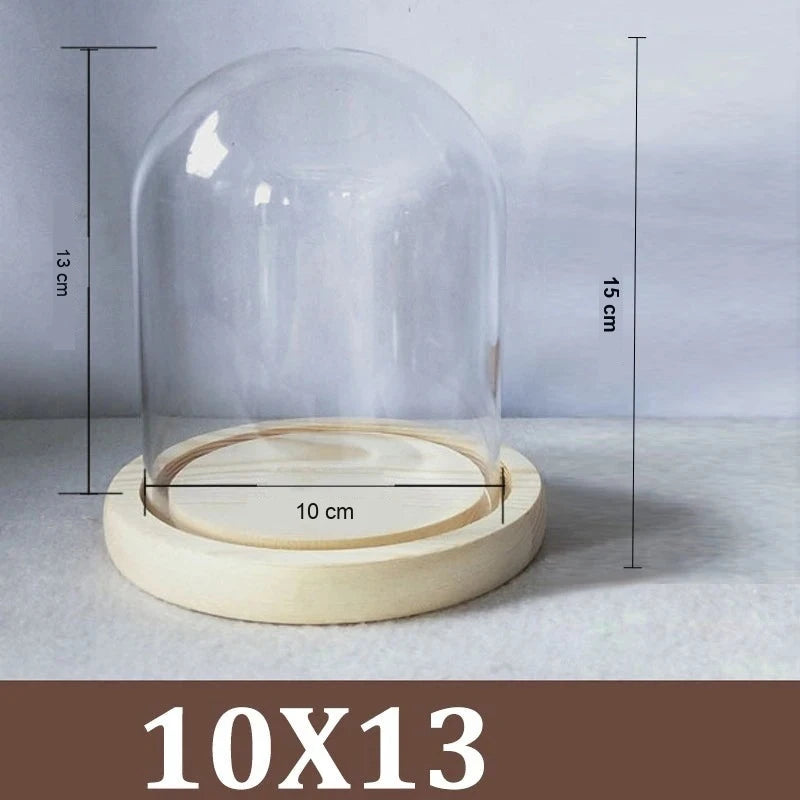 Cloche Alimentaire Dôme Verre Socle Bois