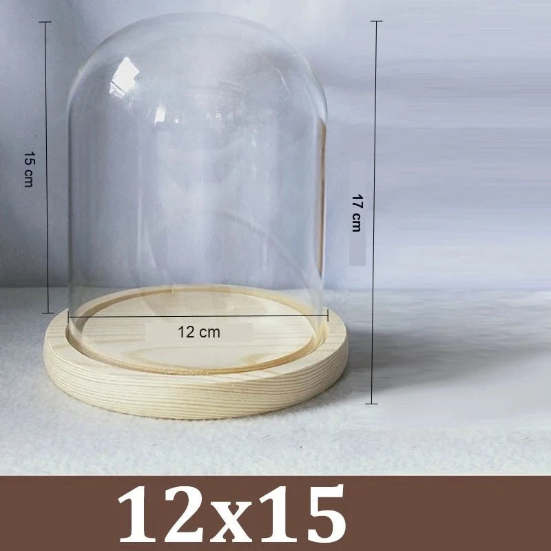 Cloche Alimentaire Dôme Verre Socle Bois