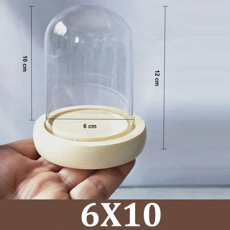 Cloche Alimentaire Dôme Verre Socle Bois