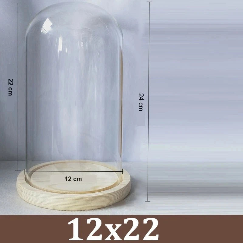 Cloche Alimentaire Dôme Verre Socle Bois