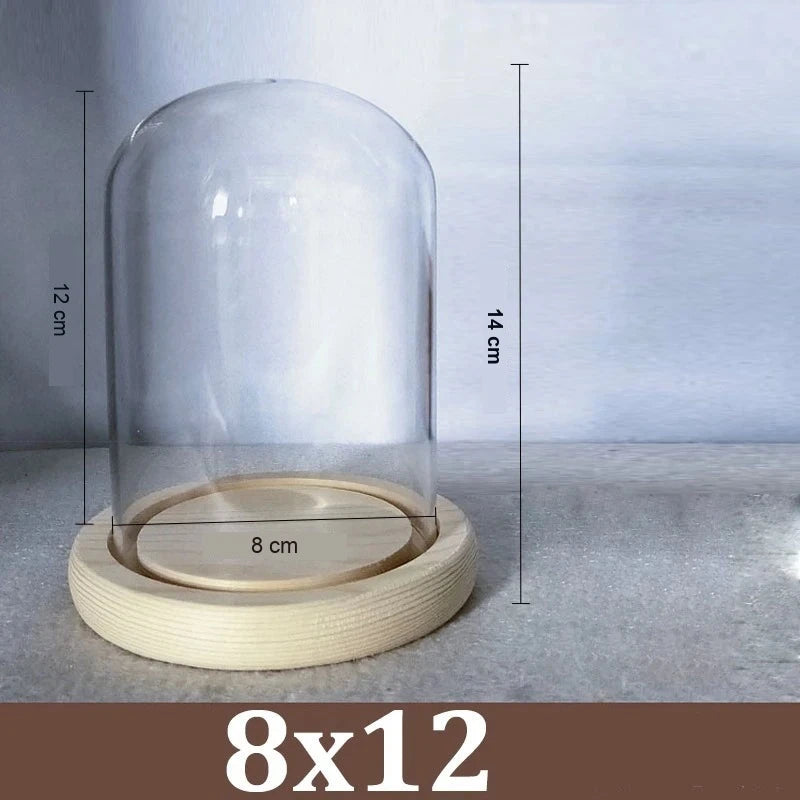 Cloche Alimentaire Dôme Verre Socle Bois