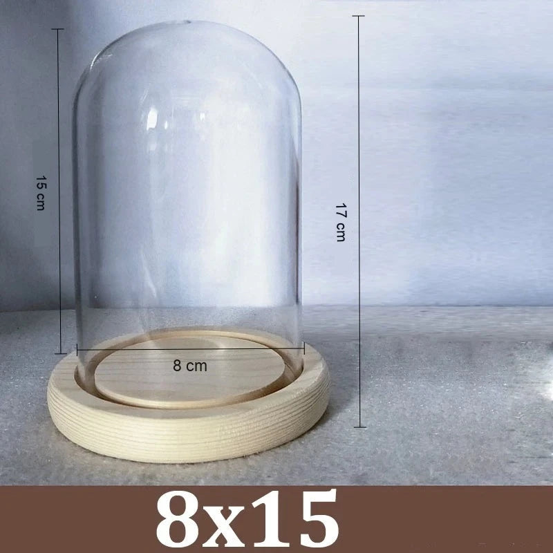 Cloche Alimentaire Dôme Verre Socle Bois