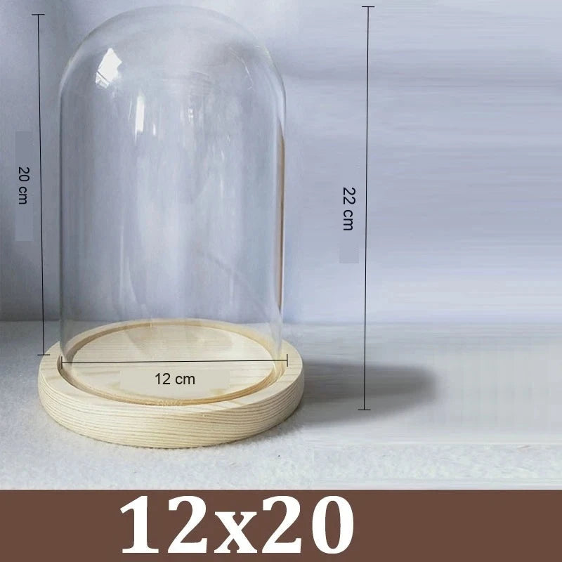 Cloche Alimentaire Dôme Verre Socle Bois