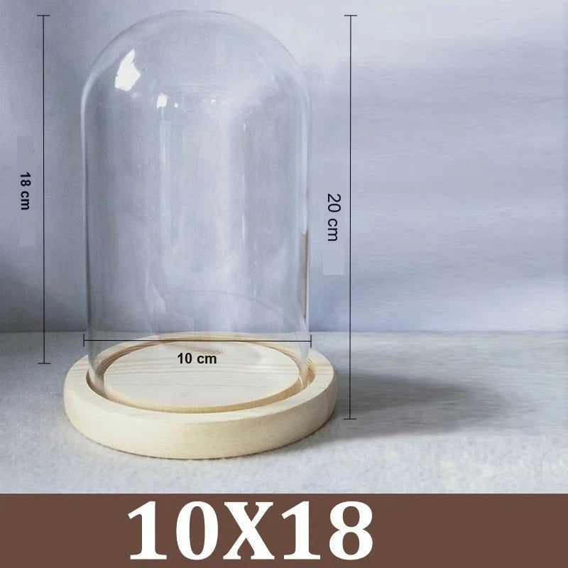 Cloche Alimentaire Dôme Verre Socle Bois
